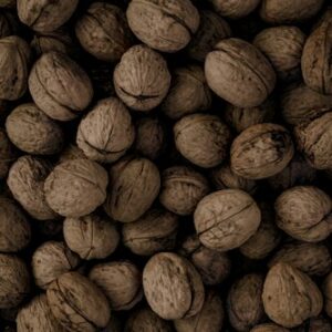Pecan Flour
